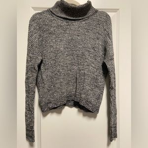 American Eagle Turtleneck